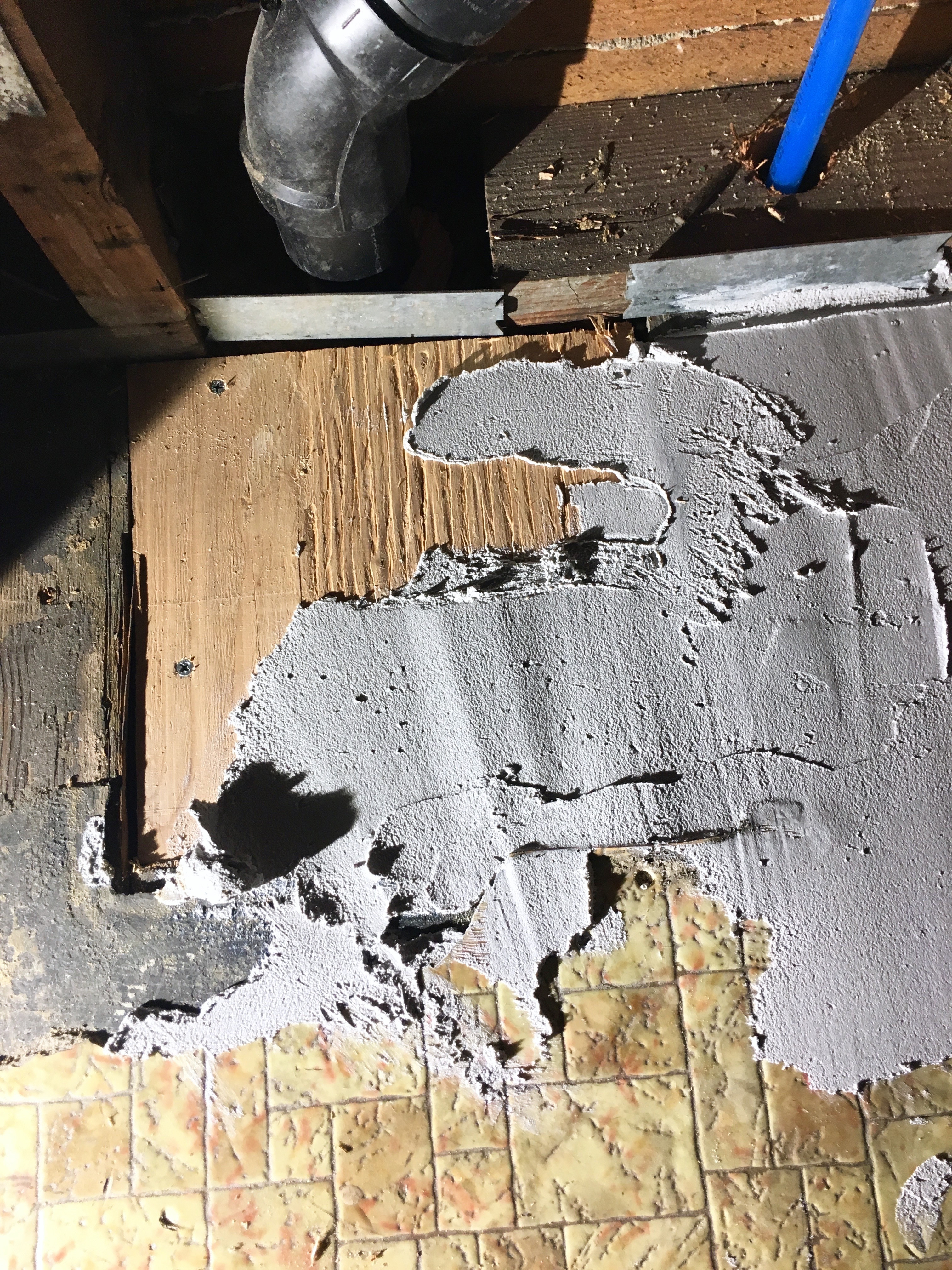 Land of Laurel | Thin Coat of Mortar