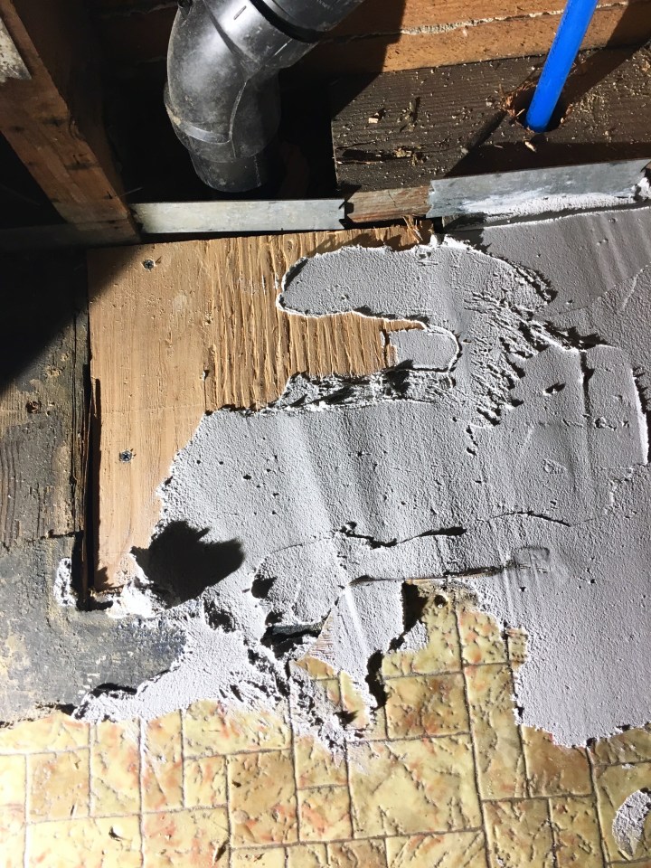 Land of Laurel | Thin Coat of Mortar