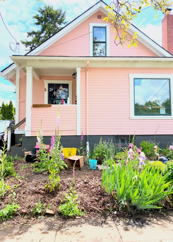 Progress in the Garden, ORC – week&nbsp;3